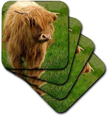 3dRose İskoçya, Yayla İneği, Çiftlik hayvanı-EU36 CMI0128-Cindy Miller Hopkins-Yumuşak Bardak Altlığı, 8'li Set (CST_82799_2)
